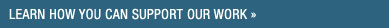 Donate to TechnoServe Today