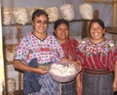 Guatemalan Woman’s Entrepreneurial Drive Revives a Community