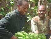 Harvesting the Fruits of Success