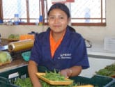 Helping Honduran Farmers Serve Better Markets
