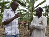 Making the Most of a Staple Crop