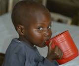 Feeding Economic Growth in Tanzania