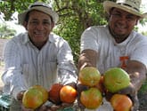Reaping the Benefits of Hard Work in Nicaragua