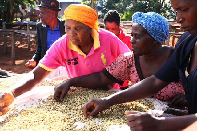 Anna Ushamba, one of the farmers in Nespresso’s Reviving Origins program