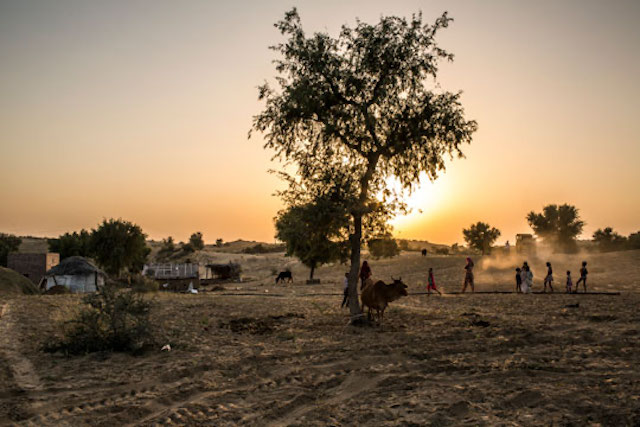 Sunset in Rajasthan state, India