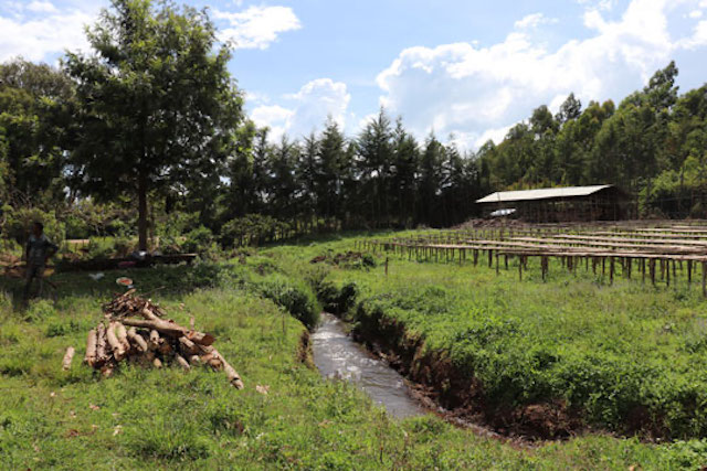 A coffee-growing region in southern Ethiopia