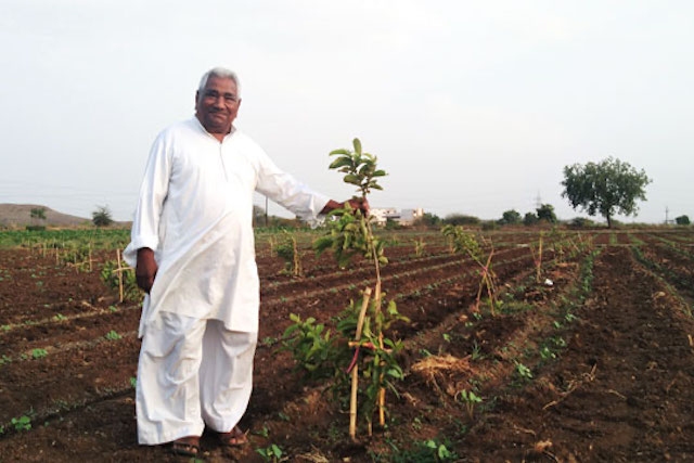 Maganlal standing in his field in Madhya Pradesh, India