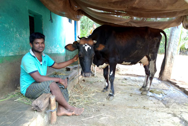 Suresha is a CAF program graduate in India 