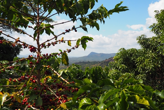 Landscapes in Zimbabwe