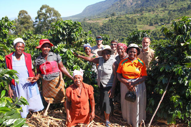 A group of smallholder coffee farmers in Zimbabwe