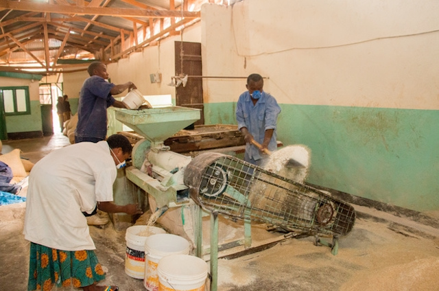 Employees work in a food processing plant
