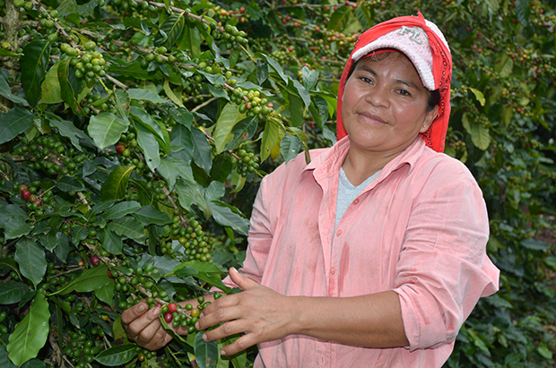 Orbelina Vásquez working on her coffee farm in Honduras