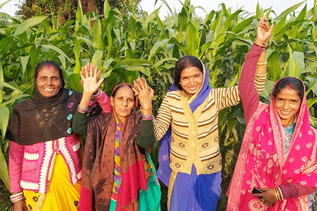 women maize farmers in Bihar, India