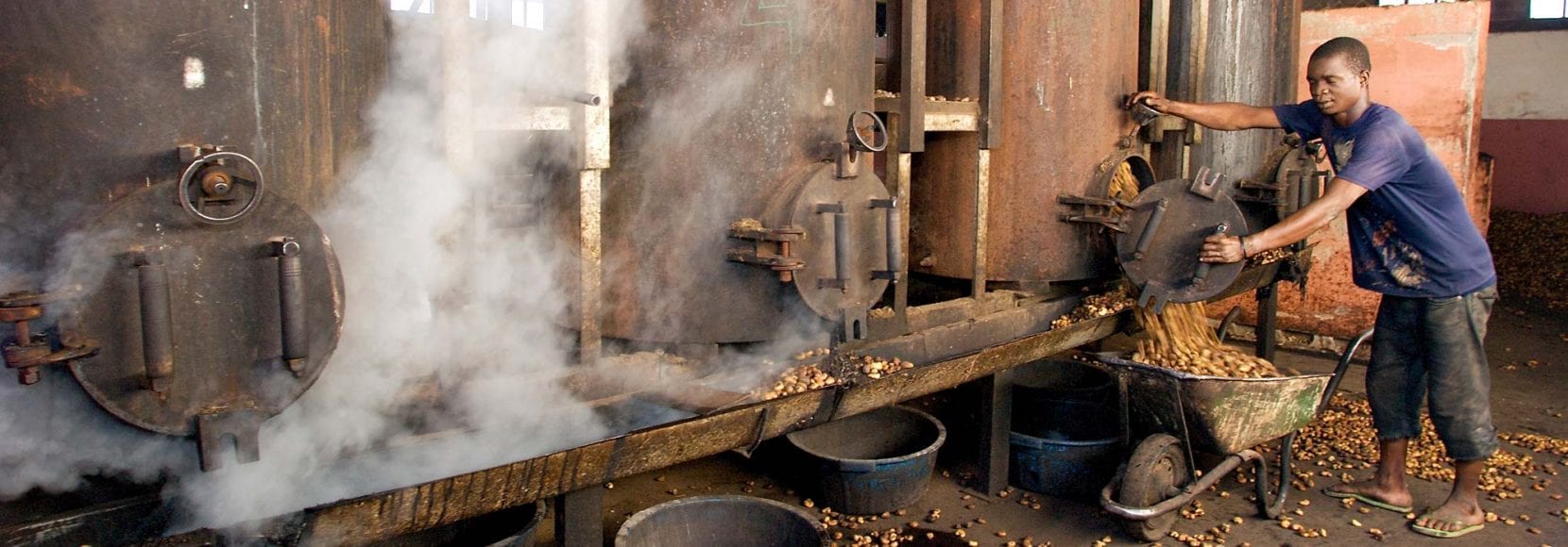 Man processing beans in Mozambique
