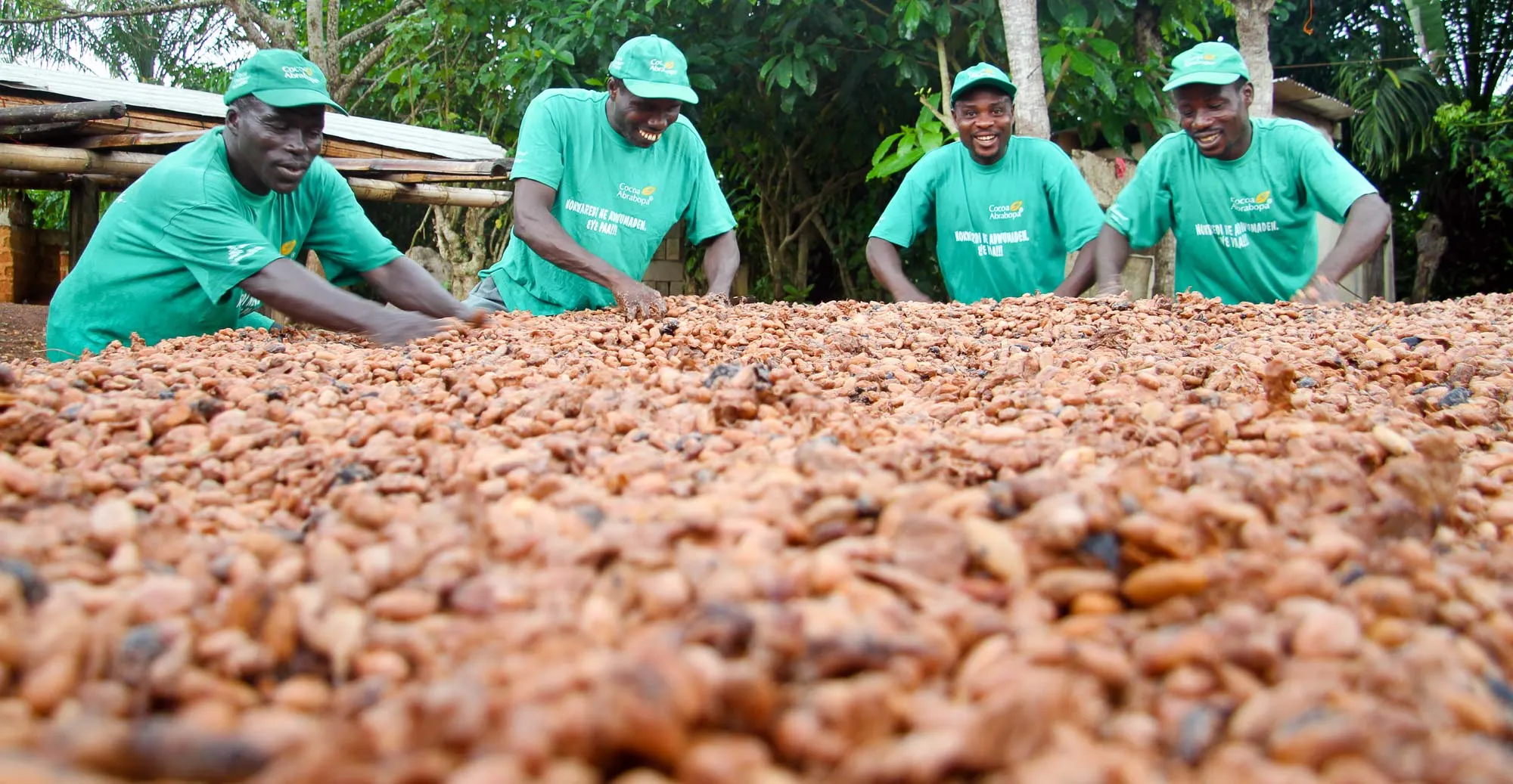 Ghana Subsistence Farming