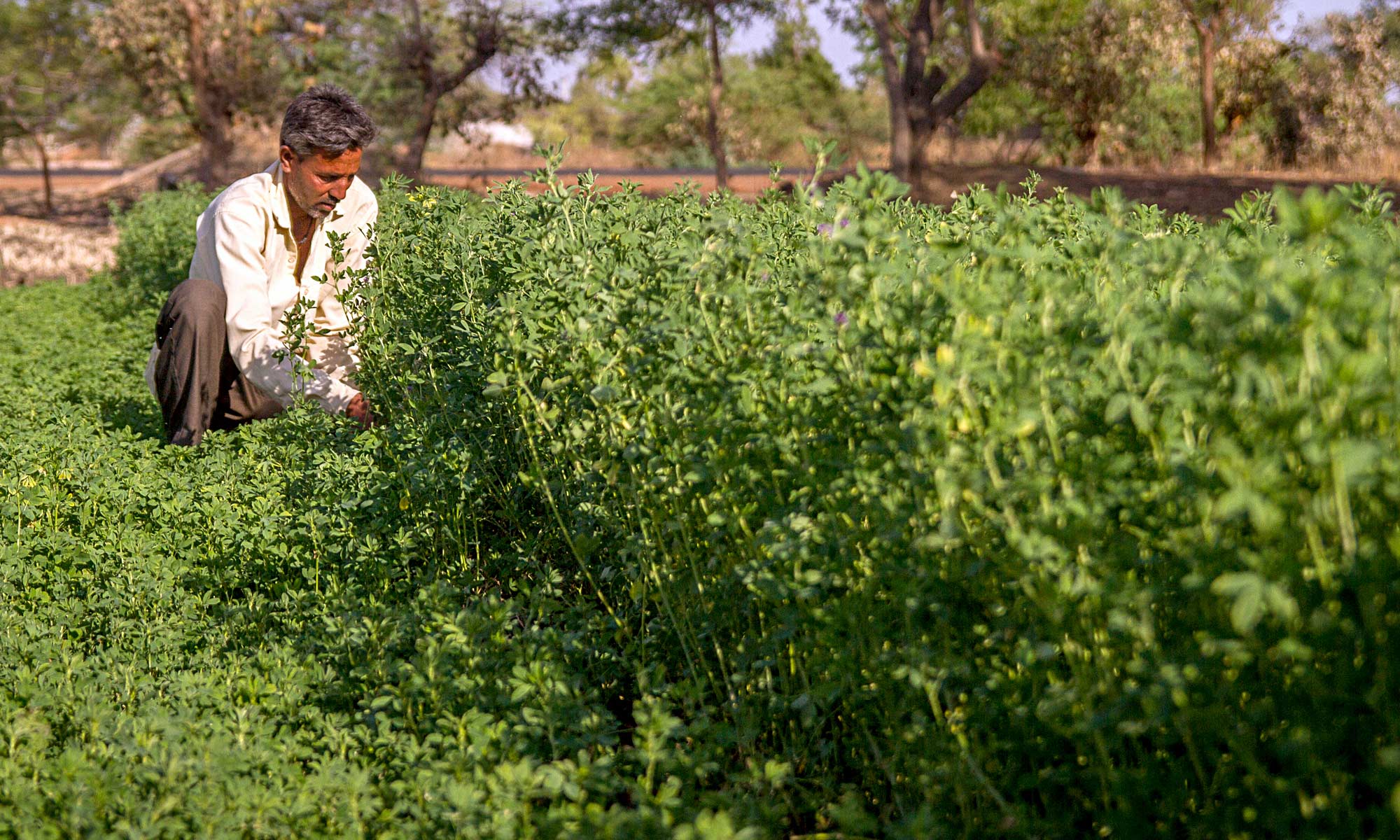 India Entrepreneurship in Poor Communities