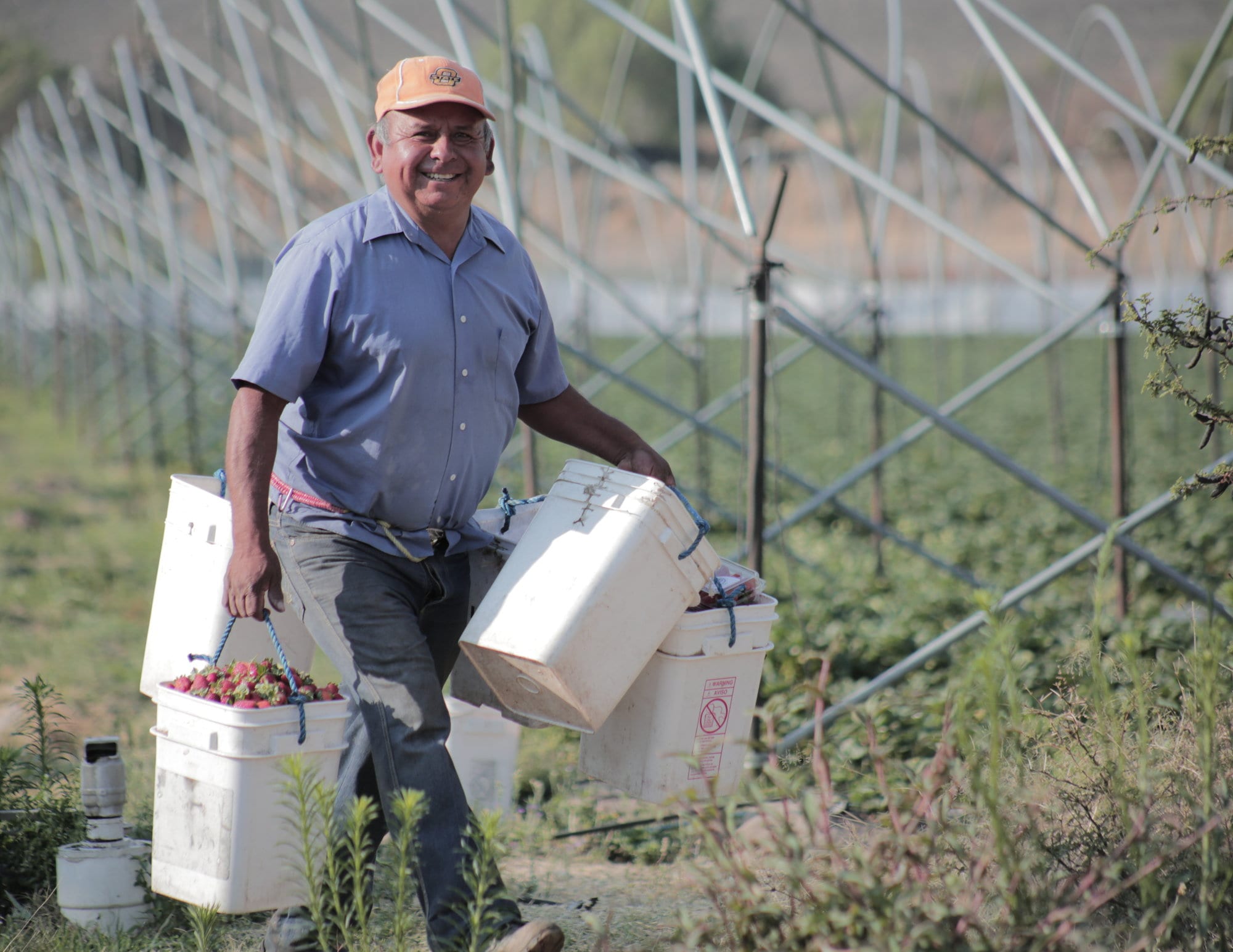 Man working with buckets full of food