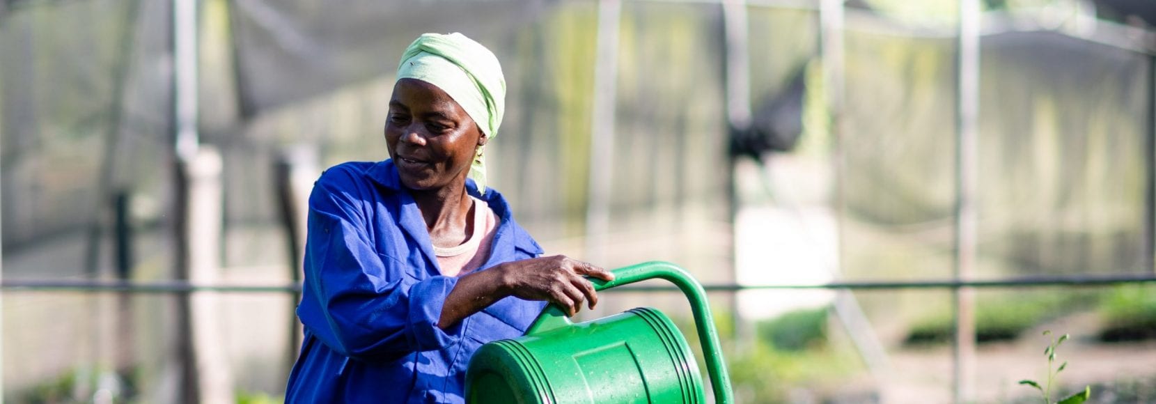 Women watering plants in Benin
