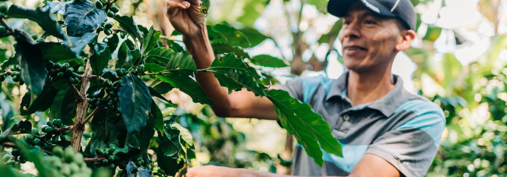 Learn 5 takeaways from the U.N. Food Security Report 2021