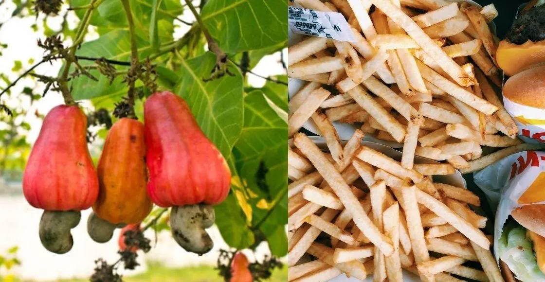 Food Processing vs. Processed Food no text