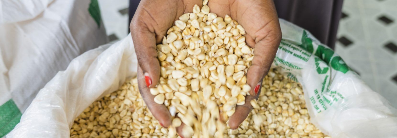 maize, hands, food processing