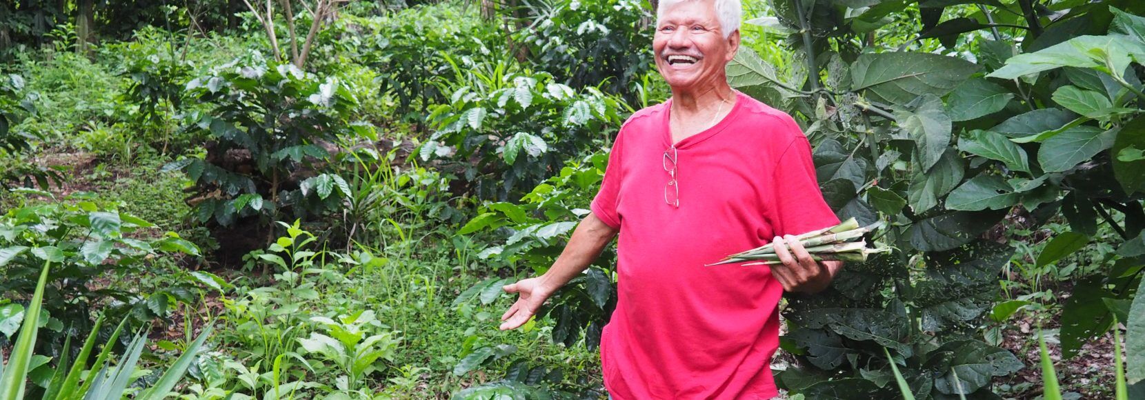 Benjamin Alas Ordoñez is a 69-year-old coffee farmer in Sacacoyo, La Libertad, El Salvador. Photo by Julieta Ocampo Giraldo for TechnoServe.