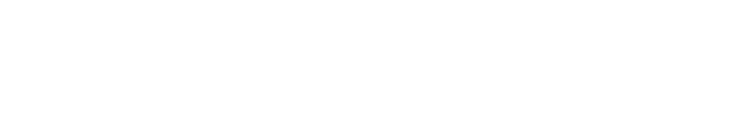Technoserve