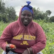 A woman kneels in a field with a bucket of tomatoes.