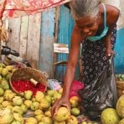 Woman picking mangoes in Haiti