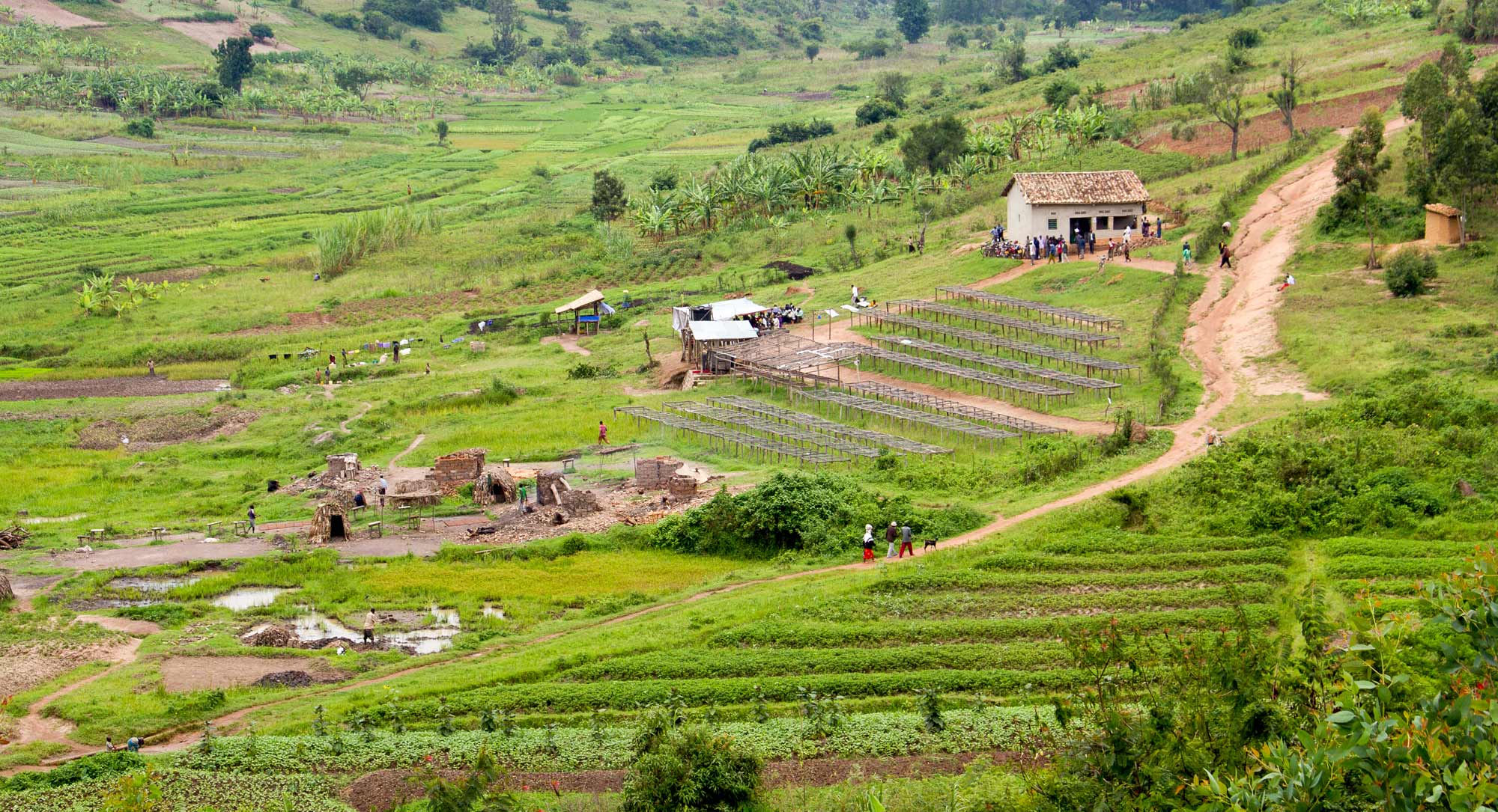 Rwanda farm