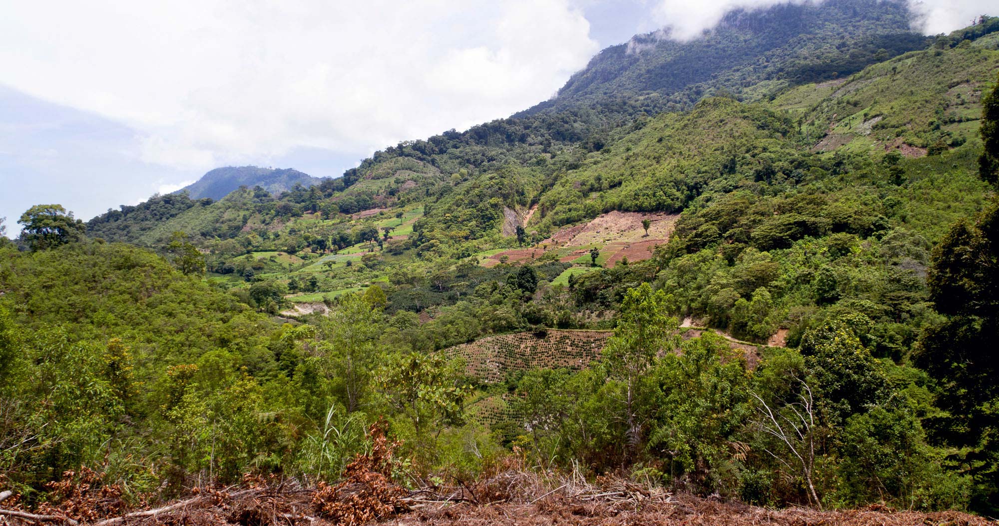 Landscape and mountainside
