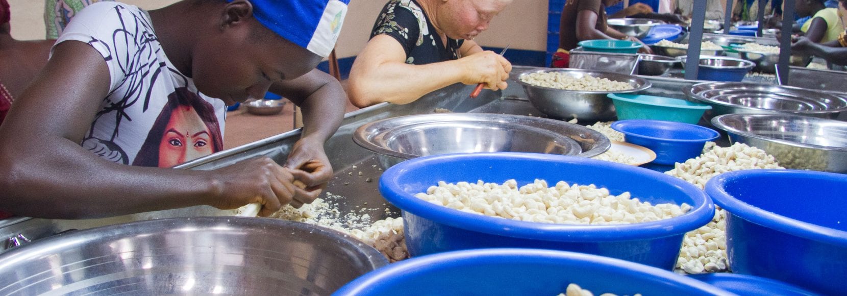 Group of workers processing cashews