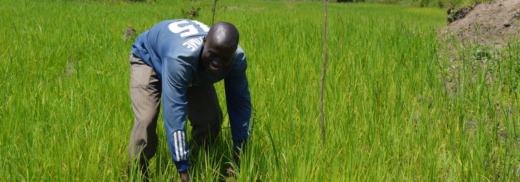 African man in grass