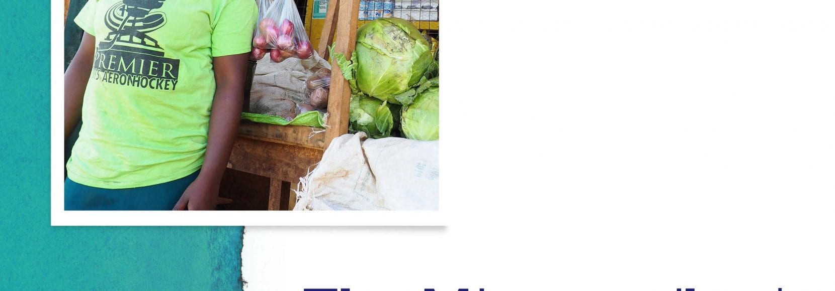 View the full Microretailers Manual