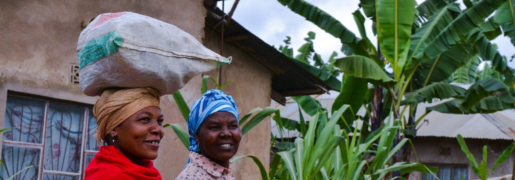 what is food security and how is it impacting people in 2021? Blog header