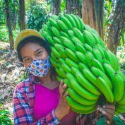 Rosa Gonzales carries a bunch of bananas in Matapalo, Nicaragua