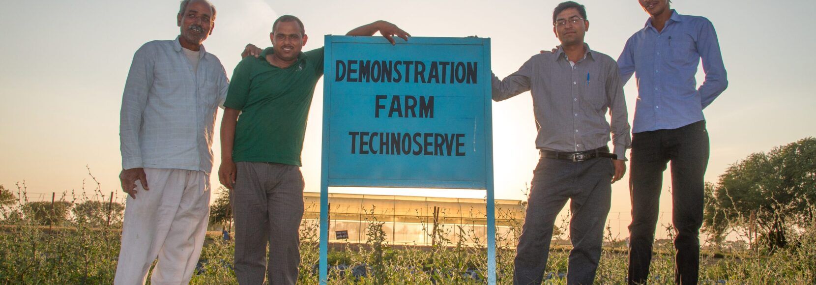 People stand in a field and harvest vegetables in India. Part of a Q&A on India elections.