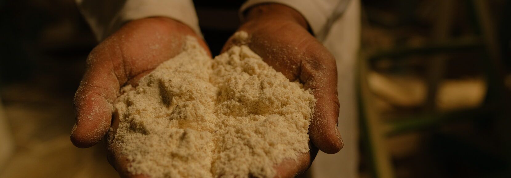 Two hands holding a flour-like substance.