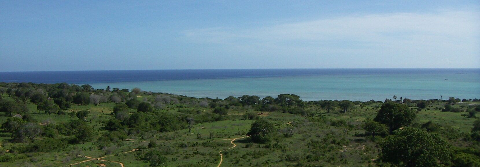 A landscape in Mozambique. Part of a TechnoServe news quiz.