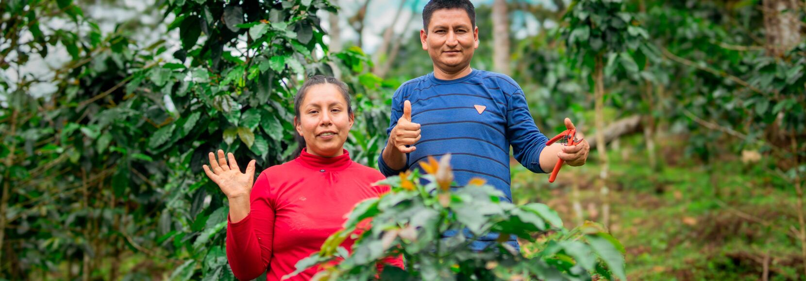 Abigail Espinoza and César Valentín are coffee farmers in Tingo María, Peru.