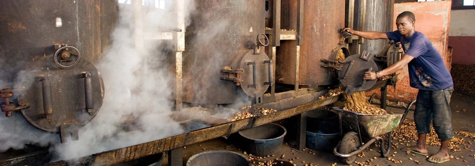 Man processing beans in Mozambique