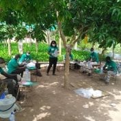Cashew producers in Benin follow physical distancing guidelines