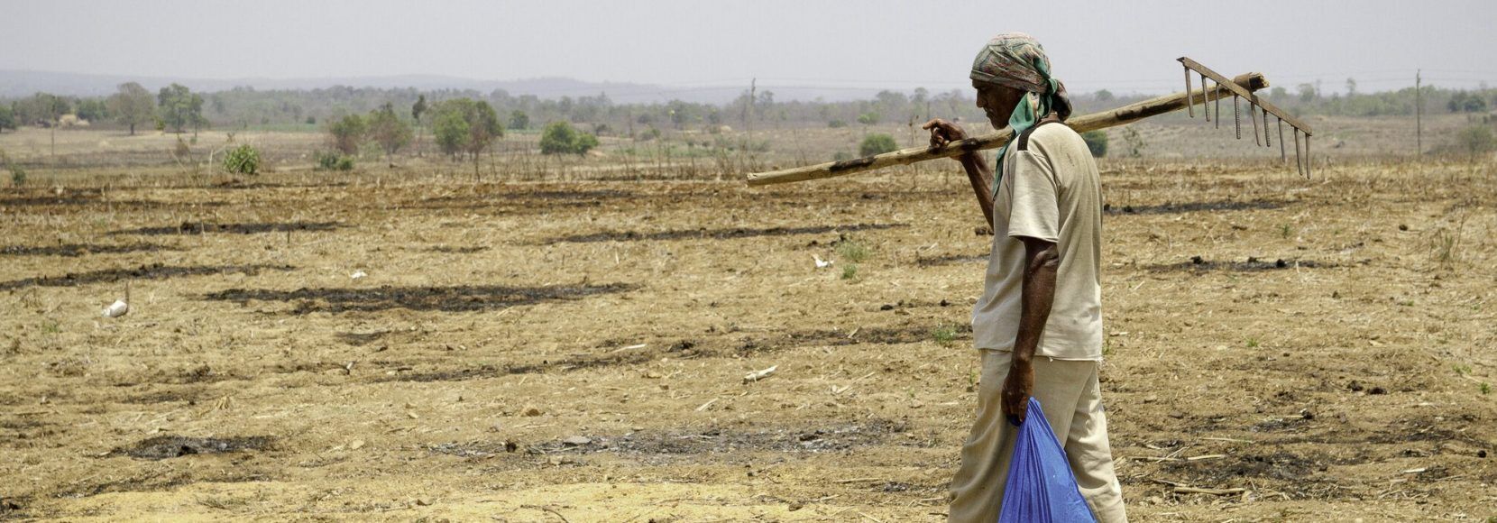 Field worker, Mundgod, Uttara Kannada district, Karnataka state, India.