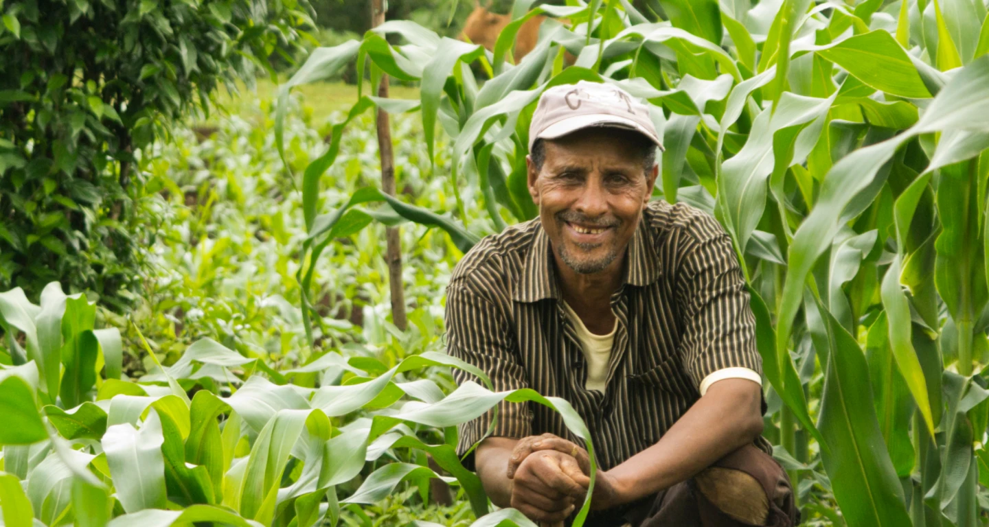 Man Smiling in Field