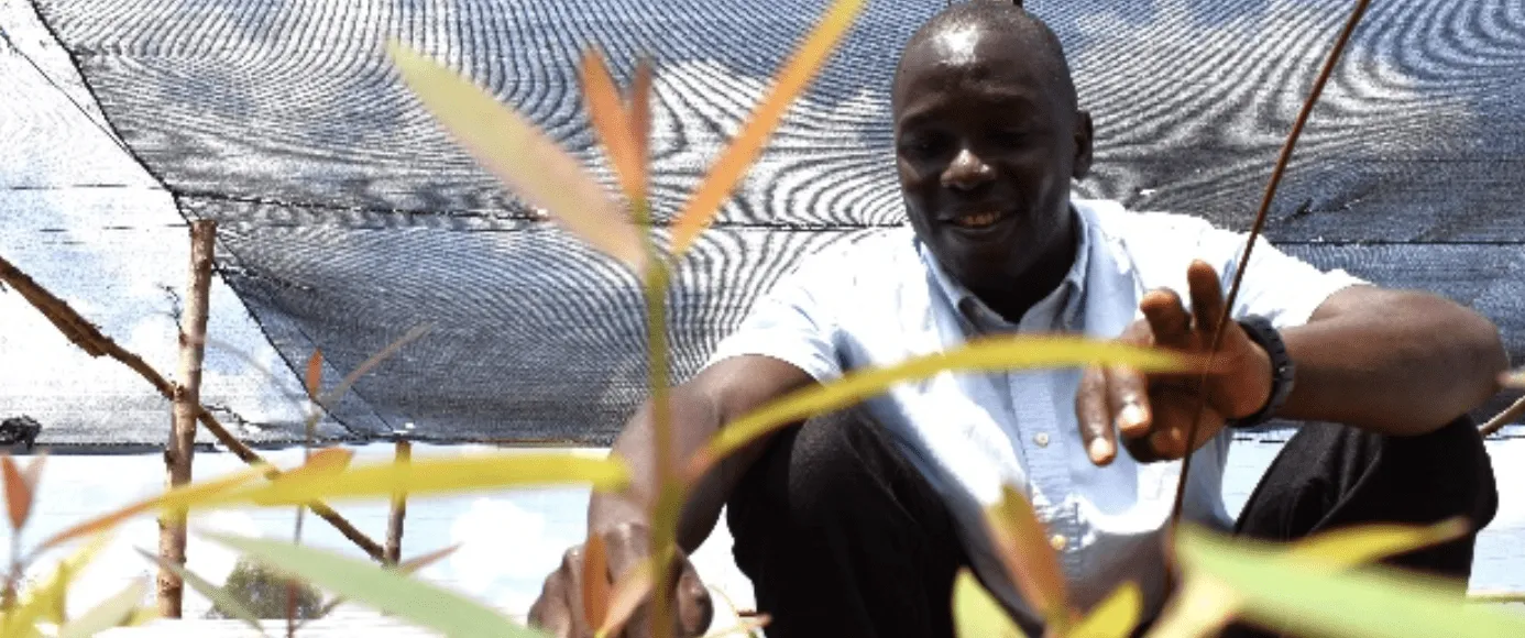 A man inspects his seedlings in northern Uganda. Part of a blog post on horticulture in Uganda.