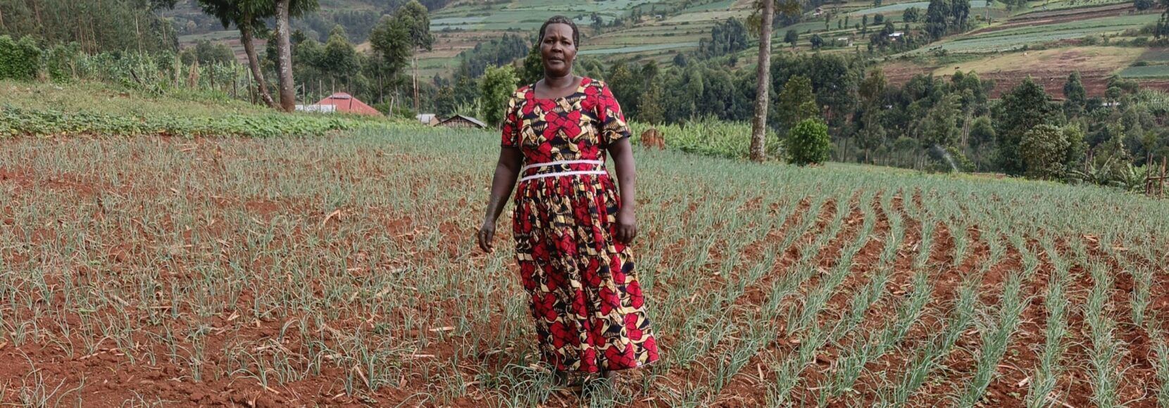 A woman stands in her field of onions in eastern Uganda. Part of a blog post on regenerative agriculture.