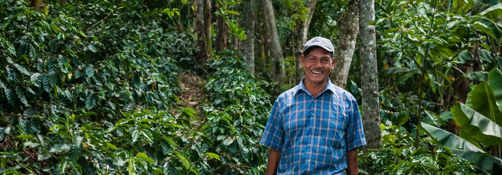 a farmer smiling in front of coffee trees in an example of regenerative agriculture