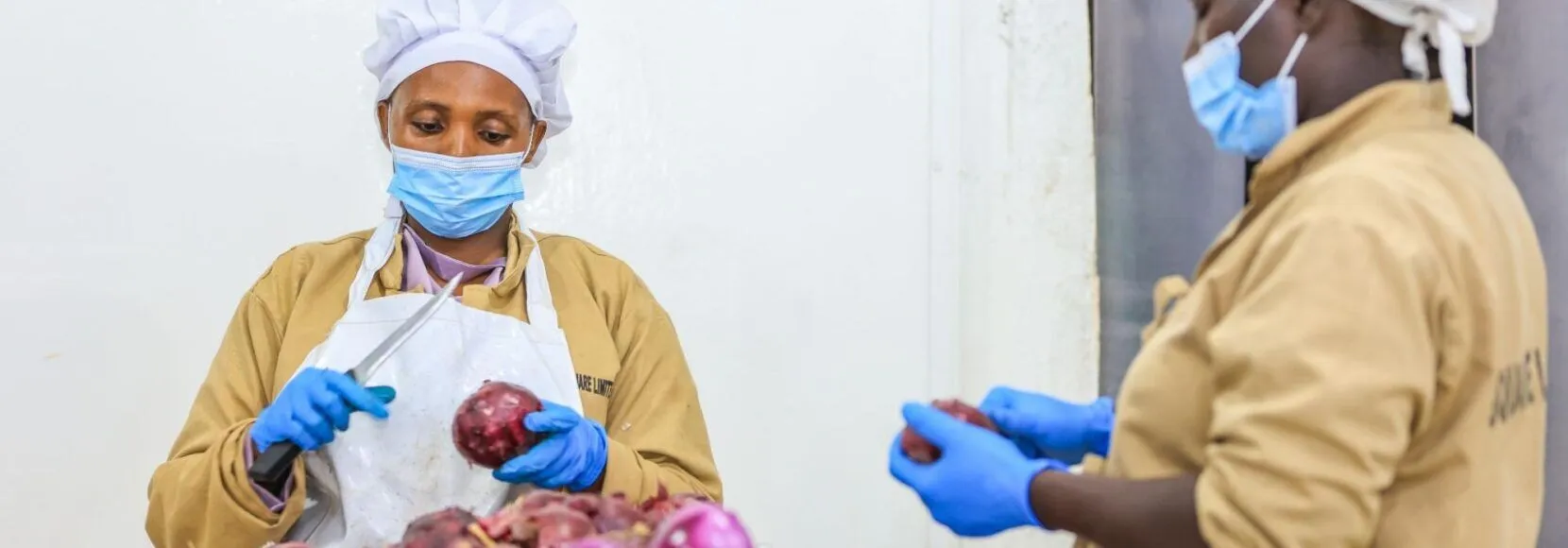 Ruth Wanza and Phoustine Mutanda peeling and sorting onions at the Six Square Limited packhouse in Nairobi, Kenya. (TechnoServe / Stephen Owino)