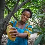 Sauda Ilomo (wife of Asajile Mwambande) in cacao plantation surrounding their home, Mabubu Farmer Business Group, Matema Ward, Kyela District, Mbeya Region, Tanzania Photo by Nile Sprague