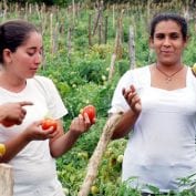 Four female farmers inspecting produce